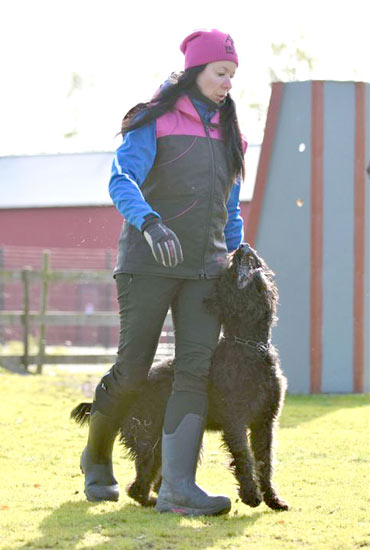 Bouvier HILLARIINA WISGUND v CAYA'S HOME